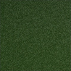 Symphony Classic Fern